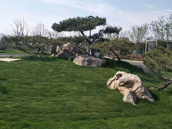 草坪石